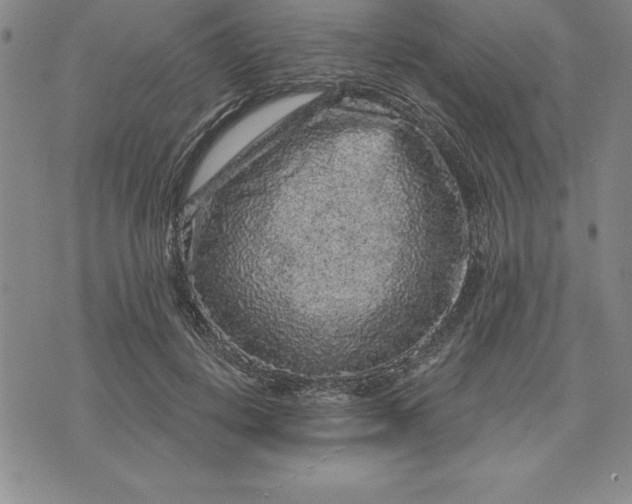 X0000071850648200607141751