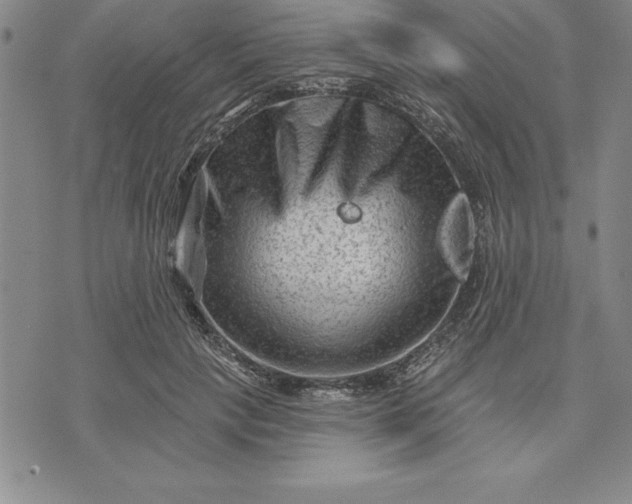 X0000071850649200607141751