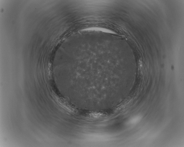 X0000071850650200607141751