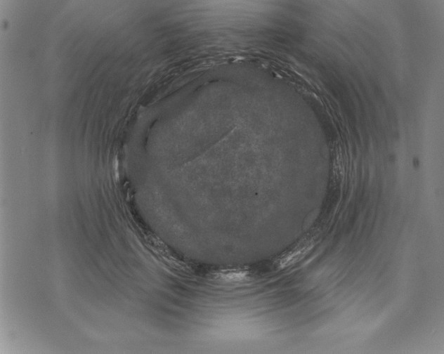 X0000071850651200607141751