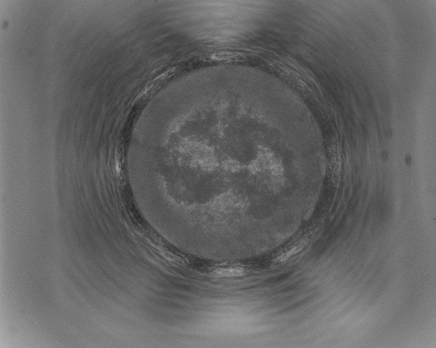 X0000071850653200607141751