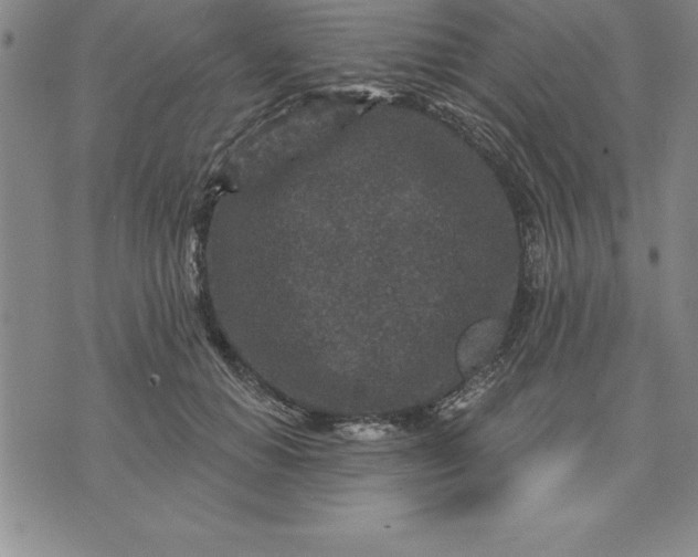 X0000071850654200607141751