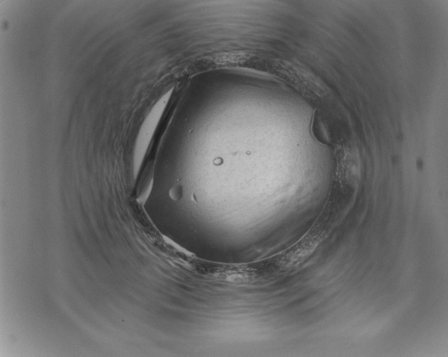 X0000071850655200607141751