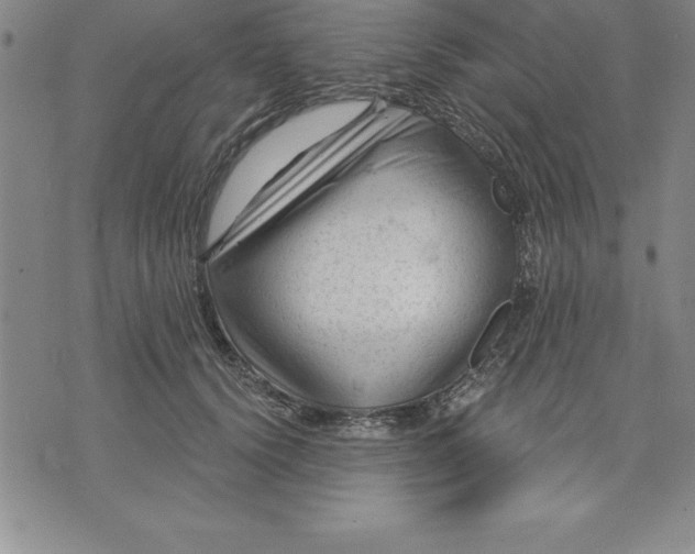 X0000071850656200607141751