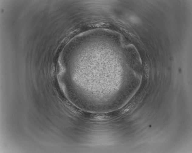 X0000071850657200607141751