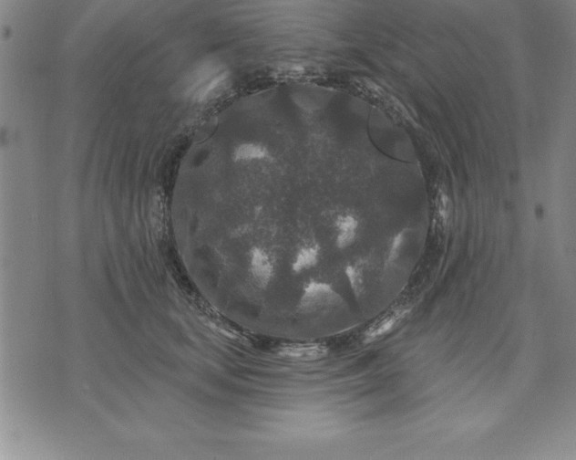 X0000071850659200607141751