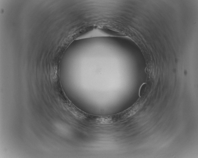 X0000071850660200607141751