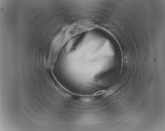 X0000071850662200607141751