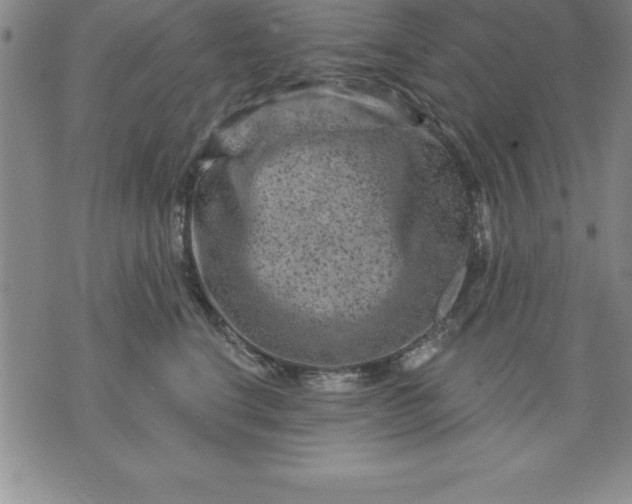 X0000071850664200607141751