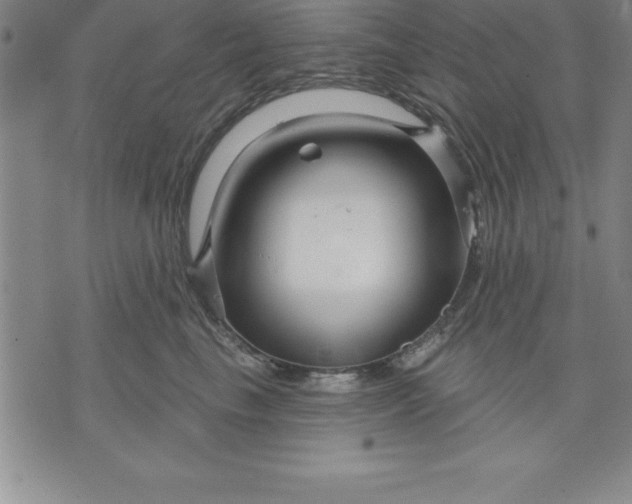 X0000071850665200607141751