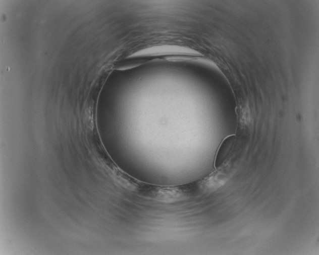 X0000071850666200607141751