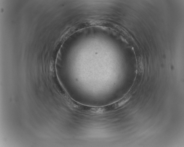 X0000071850667200607141751