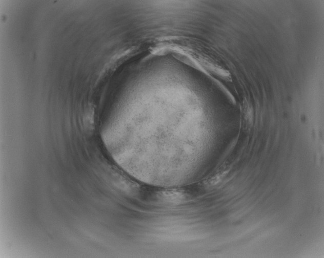 X0000071850668200607141751