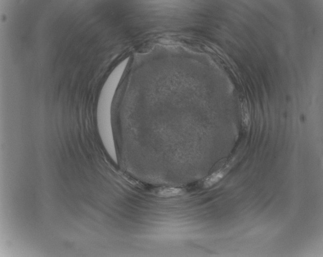 X0000071850669200607141751