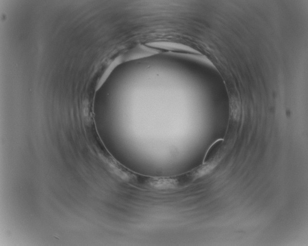 X0000071850670200607141751