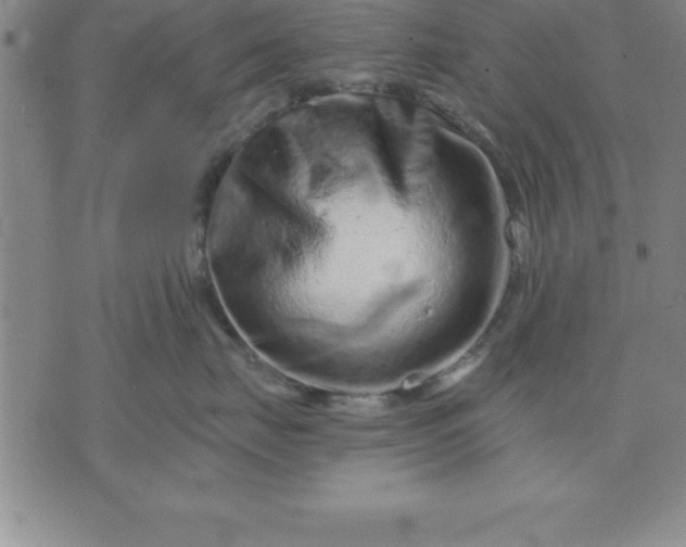 X0000071850671200607141751