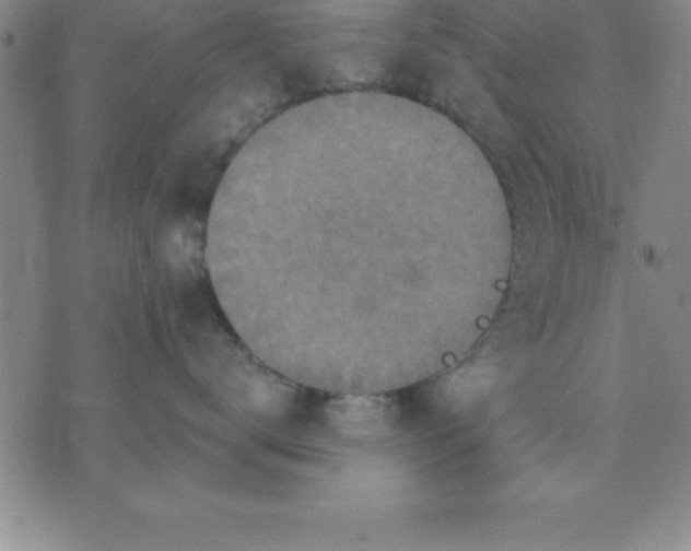 X0000071850672200607141751