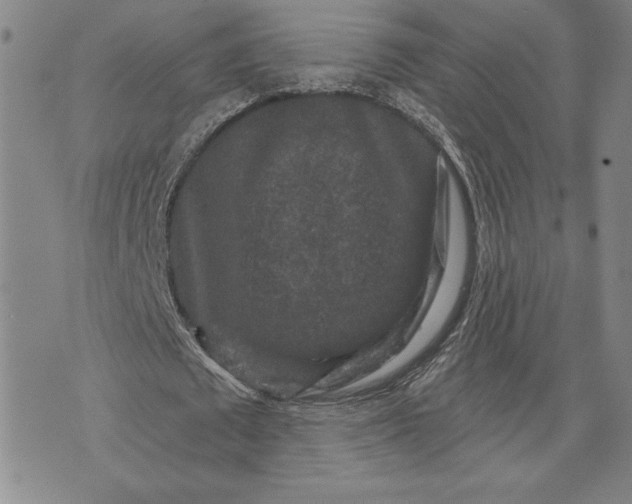 X0000071850673200607141751