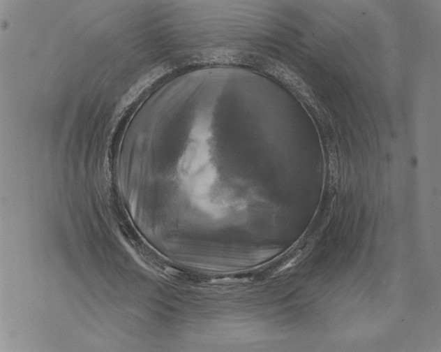 X0000071850674200607141751