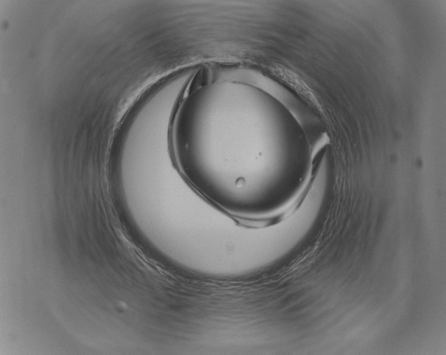 X0000071850676200607141751