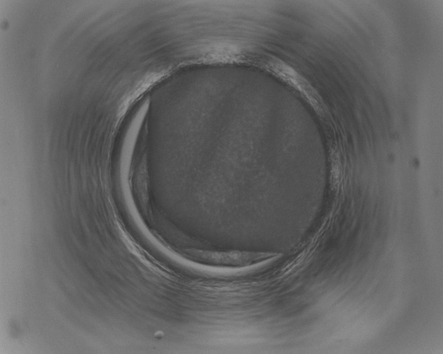 X0000071850677200607141751