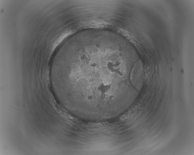 X0000071850679200607141751