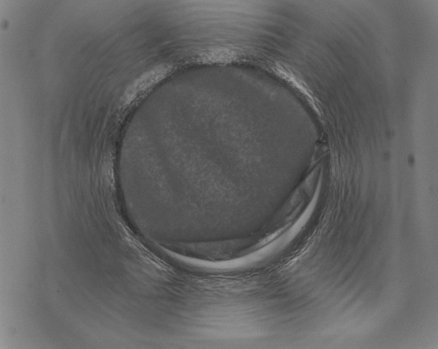 X0000071850681200607141751