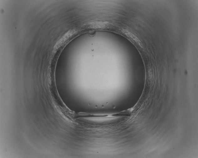 X0000071850682200607141751