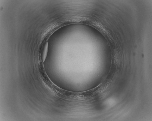 X0000071850683200607141751