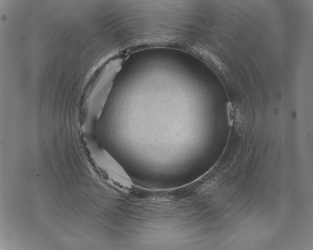 X0000071850684200607141751