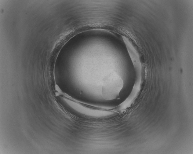 X0000071850688200607141750