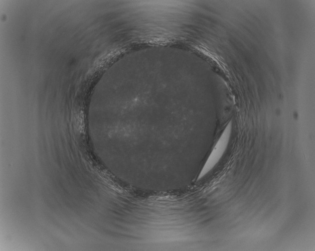 X0000071850689200607141750