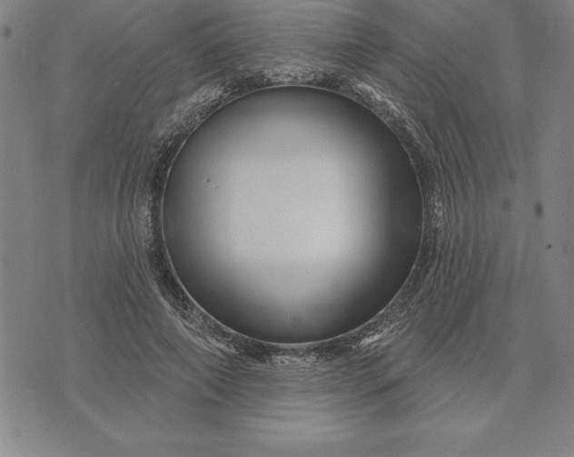 X0000071850690200607141750