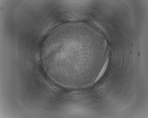 X0000071850691200607141750