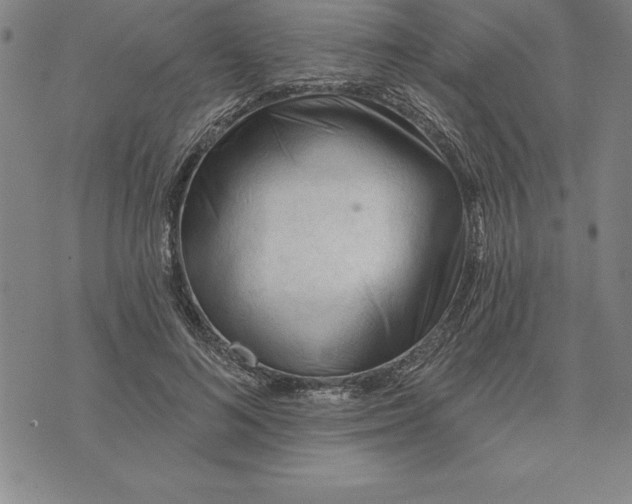 X0000071850692200607141750