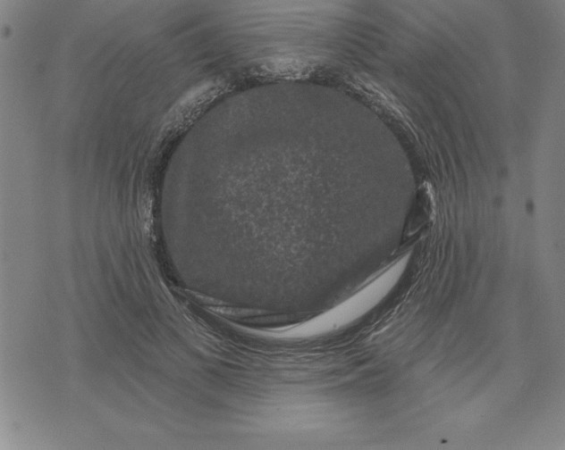 X0000071850693200607141750