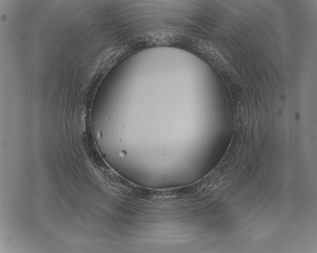 X0000071850694200607141750