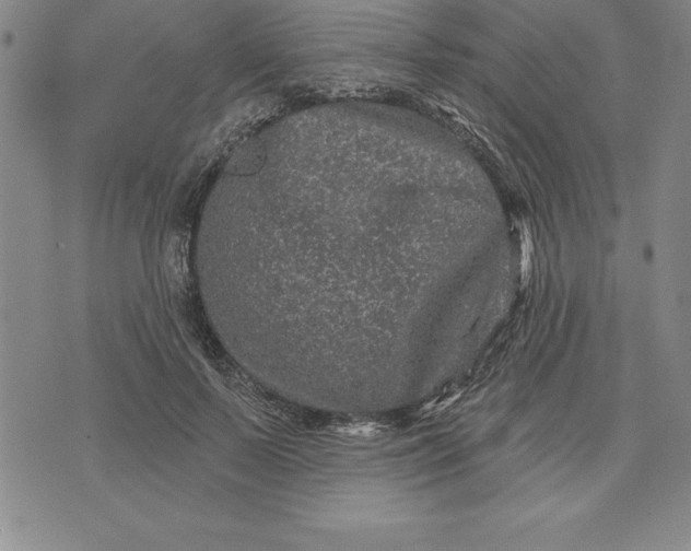 X0000071850695200607141750