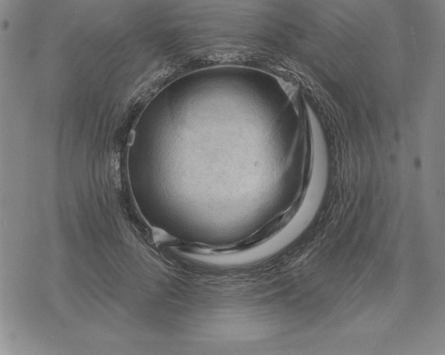 X0000071850696200607141750