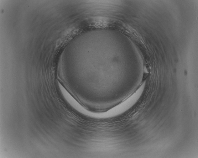 X0000071850697200607141750