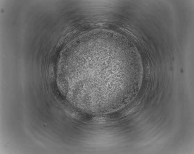 X0000071850699200607141750