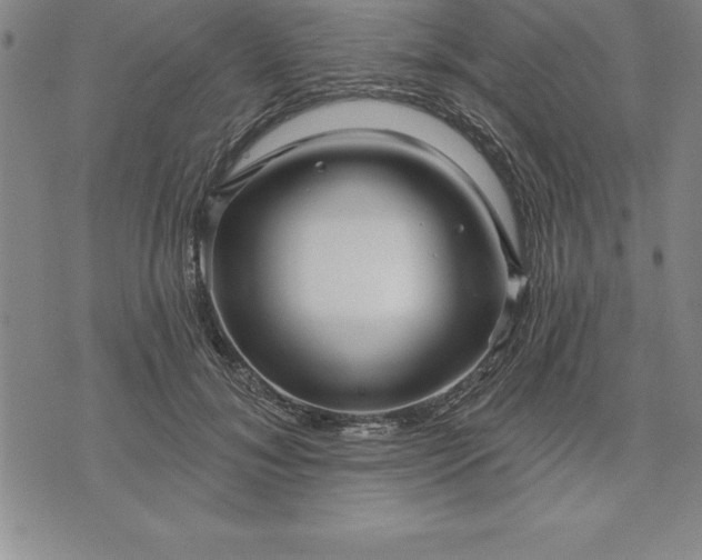 X0000071850700200607141750