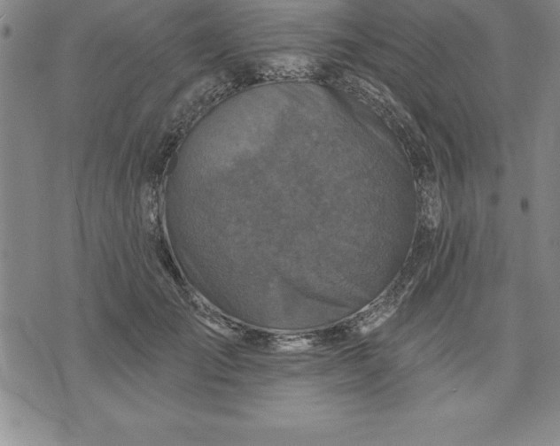 X0000071850701200607141750