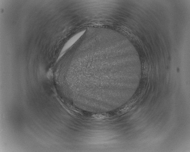 X0000071850703200607141750