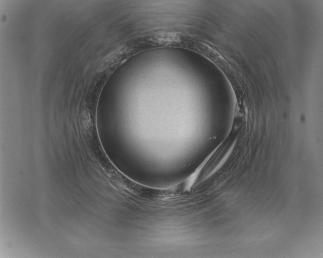 X0000071850704200607141750