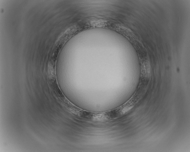 X0000071850705200607141750