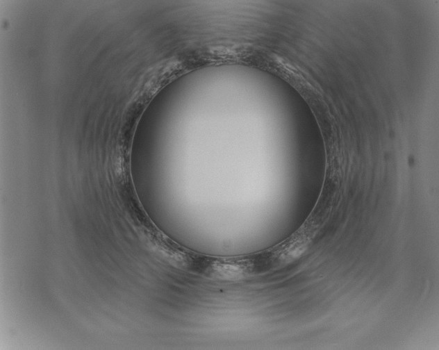 X0000071850706200607141750