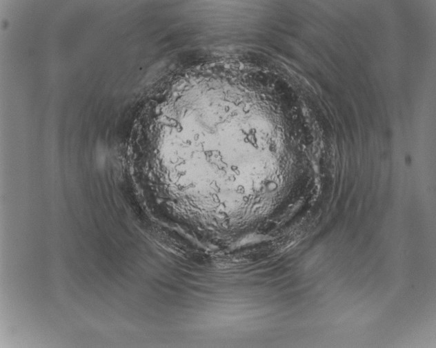 X0000071850707200607141750