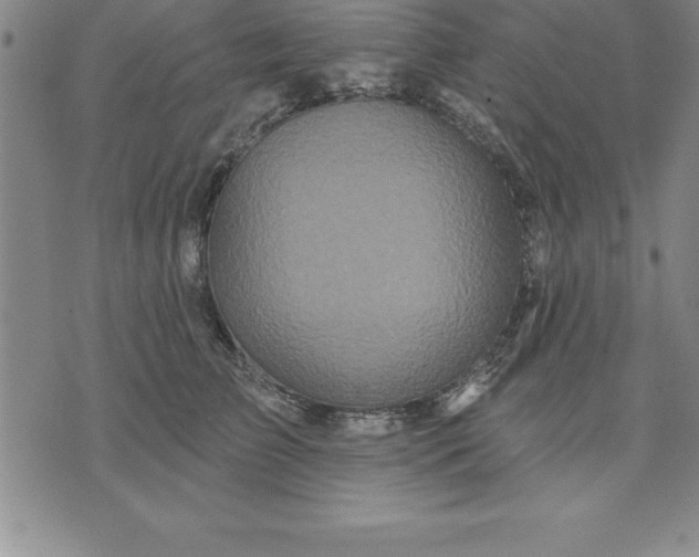 X0000071850709200607141750