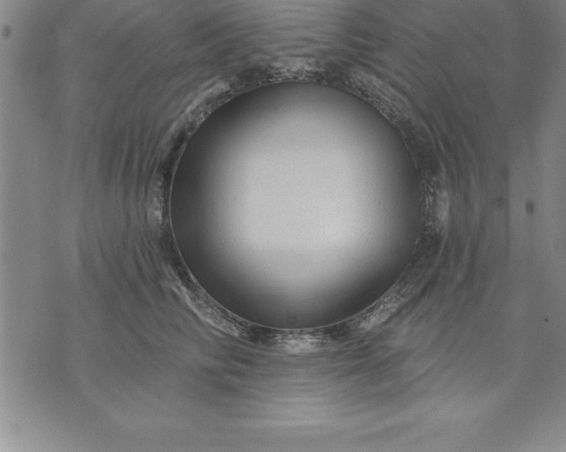 X0000071850710200607141750